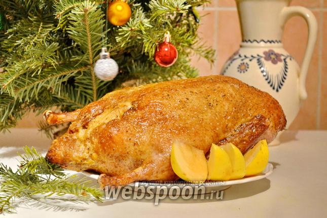 Мясо в рукаве – Пошаговый рецепт с фото. Рецепты на 8 Марта. Вкусные рецепты с фото картинки Мясо в рукаве – Пошаговый рецепт с фото. Рецепты на 8 Марта. Вкусные рецепты с фото картинки