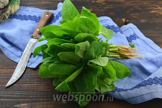 Фото Как сушить шпинат