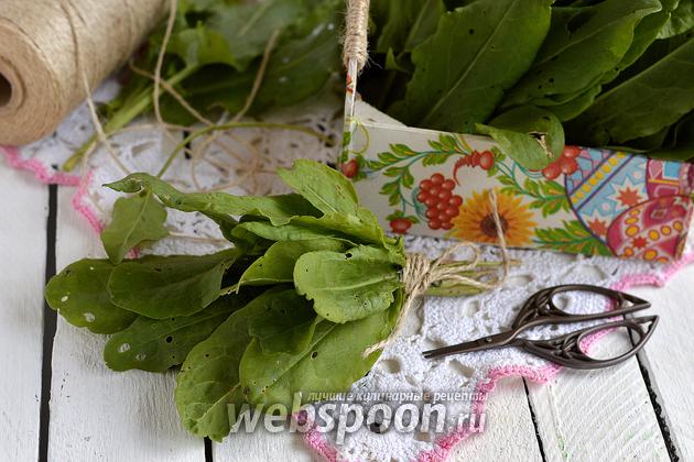 Фото Как варить щавель