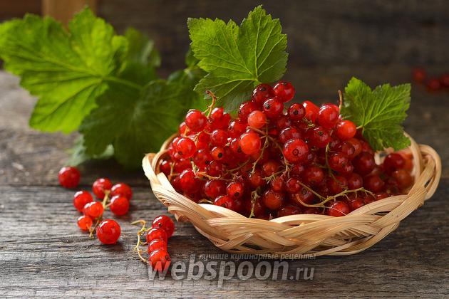 Фото Как сушить красную смородину