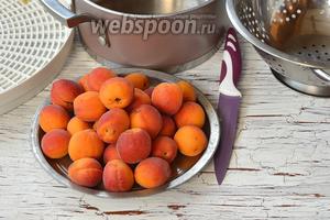 Подготовка абрикосов: когда и как их выбирать