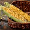Фото совета Как выбрать кукурузу