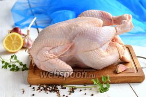 Фото совета Как перевязать курицу для запекания