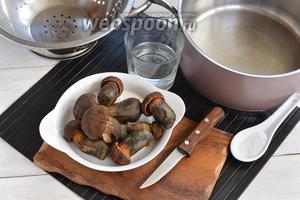 Кулинарные секреты: как вкусно и правильно приготовить гриб дубовик