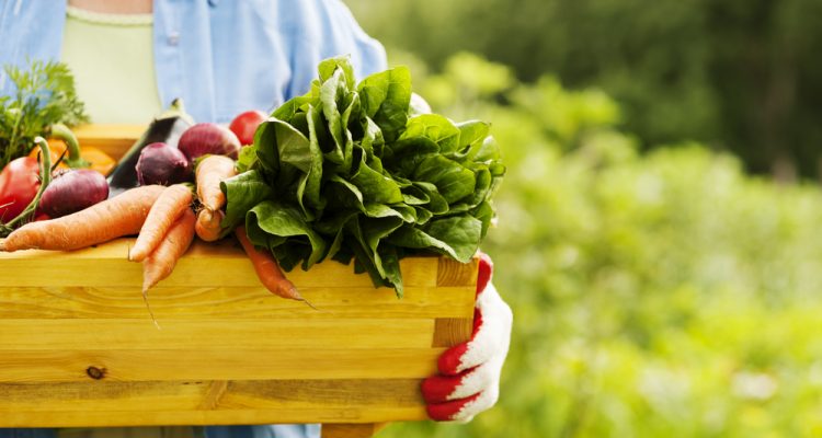 Изображение к записи Сравнение доставки фермерских продуктов и обычных супермаркетов