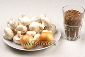 Для приготовления гречневой каши с жареными шампиньонами возьмём гречневую крупу, грибы, репчатый лук и специи.