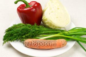 Для салата нам нужны такие продукты: капуста и морковь должны быть сочными, перец можно взять жёлтый или зелёный — это только украсит салат.