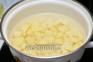 Залить холодной водой, добавить щепотку соли и отварить до готовности — 15-20 минут с момента закипания.