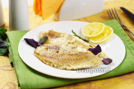 Фото рецепта Тилапия запечённая в сметане