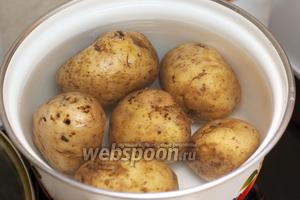 Картофельное пюре это главный ингредиент зраз. Для него нужно взять картофель (800 г) хорошо помыть, залить холодной водой и отварить до готовности. Важно правильно варить картофель в мундирах, чтобы получилась нужная консистенция пюре при расталкивании.