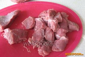Мясо очищаем от плёнок и сухожилий, режем на пластины поперёк волокон, каждую из которых слегка отбиваем и разрезаем на кусочки не очень мелко.