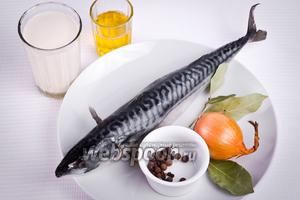 Салат тунцом новые фото Салат тунцом новые фото