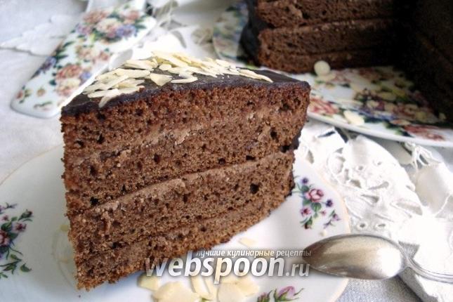 Рецепт шоколадного торта прага в домашних условиях 3