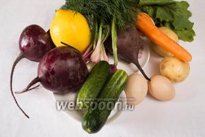 Чтобы приготовить свекольник возьмем свёклу с ботвой, картофель, морковь, лук, огурцы, рубленную зелень, зелёный лук, яйца, свежий сок лимона, соль, сахар, уксус, сметану.