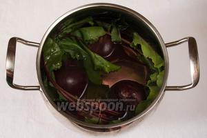 Уложить в кастрюлю свёклу с ботвой, залить горячей кипячёной водой и поставить на огонь. Как только вода закипит, добавить 10 г сахара и 20 мл уксуса (чтобы свёкла быстрее сварилась).