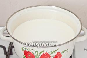 Молоко влить в кастрюлю. Довести до 90 °С на слабом огне. Добавить соль и сахар.
Молоко ни в коем случае не кипятить!