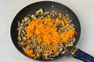 В сковороду добавить морковь, посолить и поперчить по вкусу. Жарить ещё 5 минут и снимать с огня.