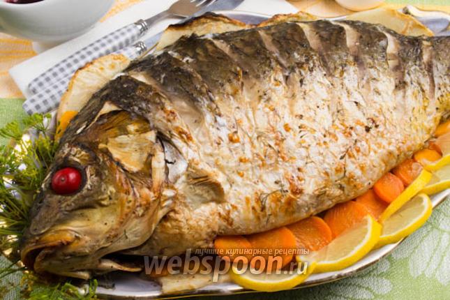 Фото Карп в белом вине с овощами