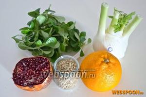 Для приготовления вам понадобятся листья салата (я использовала салат «Валериана», но можно также использовать Рукколу), фенхель или сельдерей, апельсин, чечевица, гранат, оливковое масло, капля бальзамического уксуса, соль и перец.