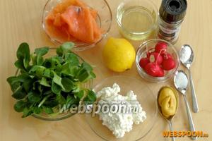 Подготовим все ингредиенты для салата: чистый корн-салат, редис, лимон, зернистый творог, лосось, рапсовое масло, горчицу, соль, сахарную пудру и перец.