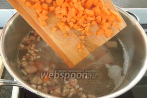 За 45 минут до окончания времени томления мяса с перловкой, очищаем морковь и нарезаем очень мелко на квадратики или, как вам больше нравится. Добавляем к мясу.