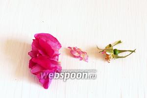 Каждый цветок чайной розы надо взять в левую руку, зажав лепестки в ладонь. Правой рукой оторвать зелёную часть. Ножницами отрезать белые кончики лепестков.