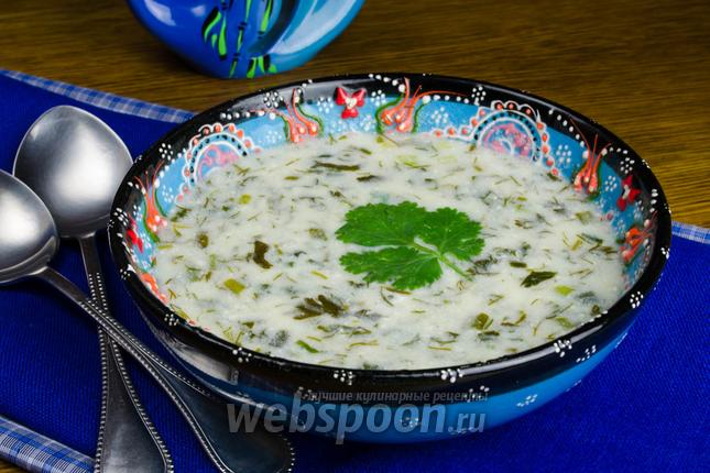 Фото Летний суп Довга