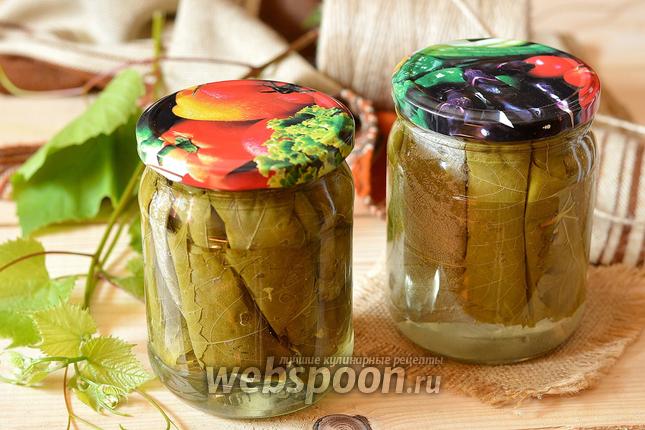 Фото Маринованные виноградные листья
