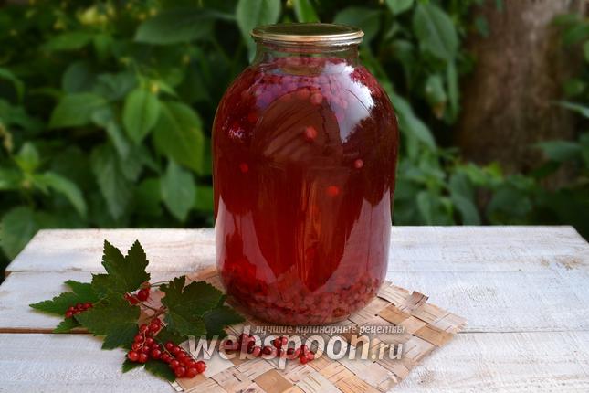 Фото Компот из красной смородины на зиму