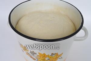 После второго подъёма тесто можно раскатывать. Из указанного количества 2/3 ушло на 25 сосисок, остальное я использовала в других целях.