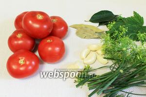 Для приготовления рецепта возьмём красные спелые мясистые помидоры, соль, зонтики укропа, лавровый лист, листья чёрной смородины и вишни, чеснок, часть (или корешка) листа хрена.
