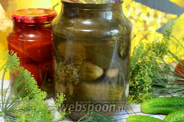 Фото Огурцы солёные консервированные