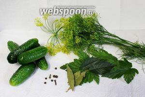 Для приготовления консервированных солёных огурцов нужно взять корнишоны, крупнокристаллическую соль, укроп с зонтиками, листья чёрной смородины и вишни, лавровый лист, душистый перец и гвоздику, листья или корень хрена (у меня не оказалось, но хорошо добавить).