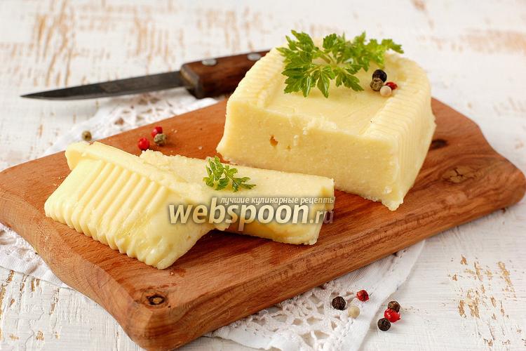 Плавленый сыр из творога и молока, приготовленный в домашних условиях