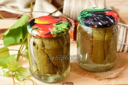 Фото рецепта Маринованные виноградные листья