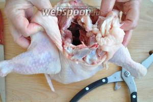 Удалим из курицы скелет. Для этого подрежем аккуратно под кожей мясо и доберёмся до голени. Середину голени изнутри разрежем ножницами и будем вытаскивать её наружу, отрезая мясо от кости так, чтобы оно оставалось на кости. Так же поступим и со второй ножкой.