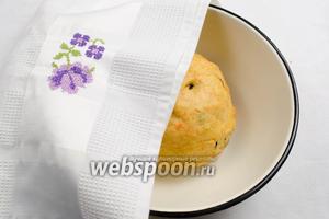 Тесто должно хорошо подняться. Миску закрыть крышкой, накрыть полотенцем. Поставить в тепло на расстойку. Я использовала электрогрелку (поместить её над тестом, чтобы оно росло, сверху на крышку, под полотенце).