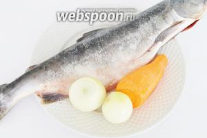 Для холодца из рыбы понадобится одна рыба целая и ещё голова и хвост (в моём случае от нерки). Понадобится 1 яичный белок для осветления бульона.