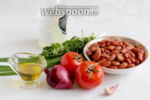 Для приготовления салата из помидор и фасоли возьмите лимонный сок, оливковое масло, помидоры, фасоль (красную или белую), чеснок, фиолетовый лук, разную зелень, соль и сахар.