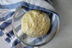 Тесто поливаем 1 ч. л. растительного масло и выкладываем в миску, накрываем полотенцем, оставляем отдыхать 30 минут.
