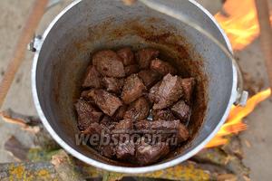 Теперь, когда все продукты подготовлены, можно разводить костер. Лучше всего его разводить в небольшой металлической посуде, которую нужно поставить на нужную высоту на сооружение из дров или просто на кирпичи. Так вам будет легче регулировать огонь. При необходимости вы будете просто подкладывать дрова, или наоборот, убирать, чтобы уменьшить огонь. Котел подвесьте над костром. Налейте растительное масло и нагрейте его. В раскаленное масло бросьте мясо и обжарьте его до золотистого цвета. Посолите половиной соли из указанного количества. Если у вас мясо недостаточно мягкое, то на этой стадии вам нужно добавить немного водички и потушить его. У меня мясо было молоденьким, поэтому после обжарки я сразу добавила зиру и сушёный барбарис. Перемешайте.