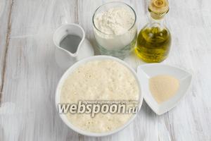 Когда подойдёт опара, необходимо приготовить тесто. Для этого нужно взять: опару, муку, воду тёплую, дрожжи, масло оливковое, соль.