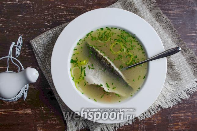 Фото Уха из сибаса