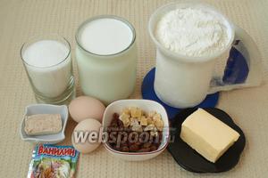 Для приготовления пасхальных куличей нам понадобится кипячёное молоко, мука, сахар, сливочное масло, яйца, свежие дрожжи, ванилин, изюм и цукаты.