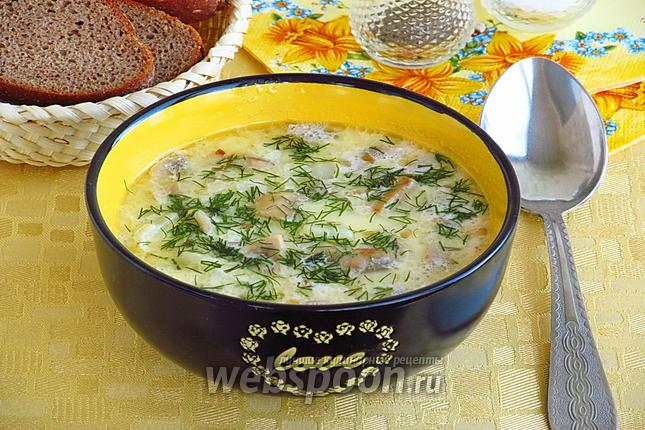 Фото Суп молочный с шампиньонами