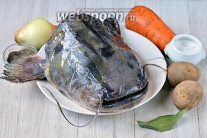 Для того чтобы приготовить вкусную наваристую уху из сома вам понадобится лук, морковь, голова сома, лавровый лист, соль и перец чёрный молотый.