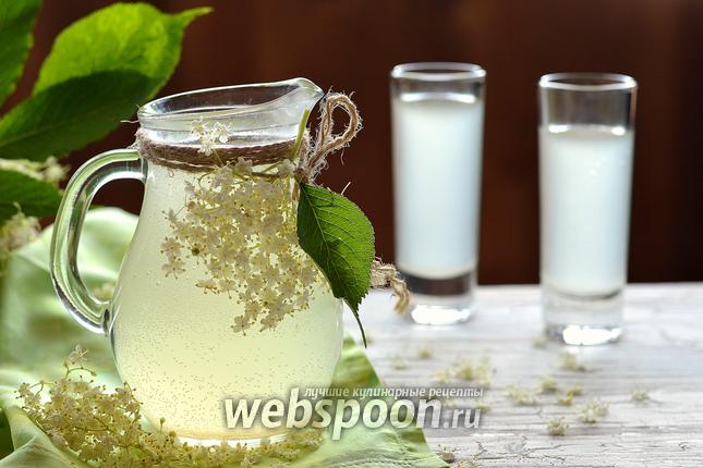 Фото Квас из цветов бузины