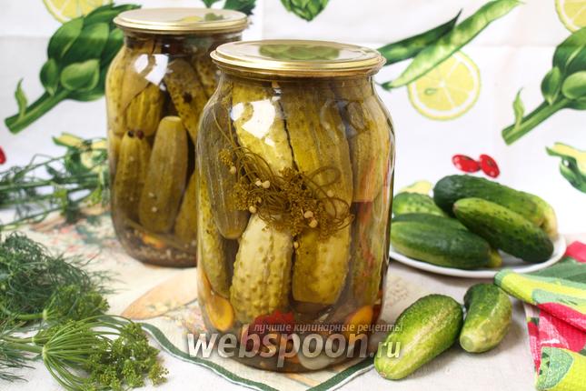 Фото Маринованные корнишоны