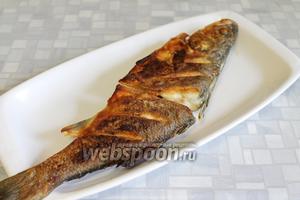 Пангасиус на спарже с базиликовым маслом рецепт с фото, как приготовить на Webspoon.ru изображения Пангасиус на спарже с базиликовым маслом рецепт с фото, как приготовить на Webspoon.ru изоражения