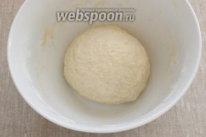 Влить в миску воду, размешать, добавить оливковое масло. Хорошо вымешать тесто, чтобы оно стало однородным. Скатать в шар, оставить в тёплом месте на 1 час, накрыв полотенцем.
